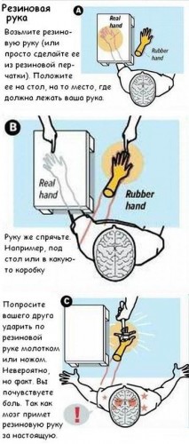 5 способов обмануть мозг