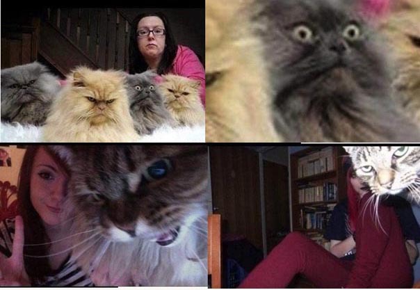 Пушистики в диком восторге