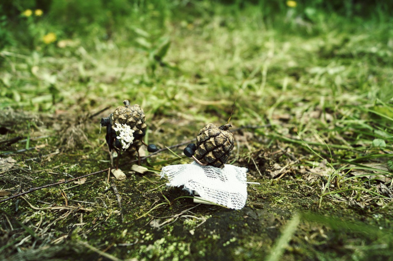 #ПутешествиеСосновойШишки часть 6