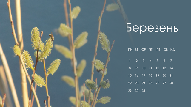 Весенняя пчёлка: март 2021