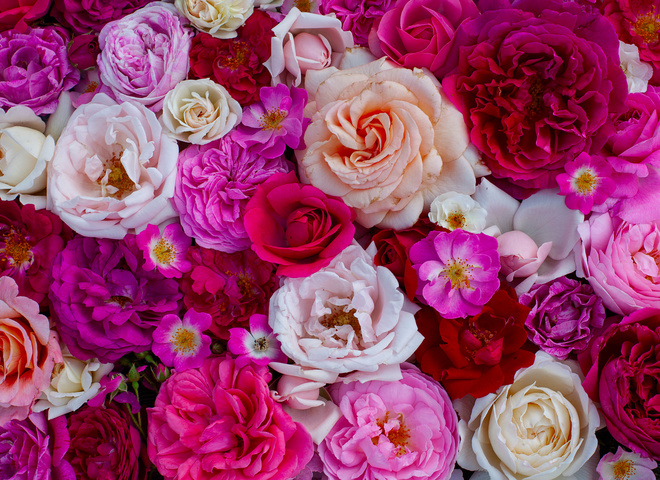 Церковные праздники и посты в июне 2020: календарь по дням