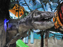 Аквапарк Dream Island