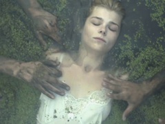 Коли падають дерева