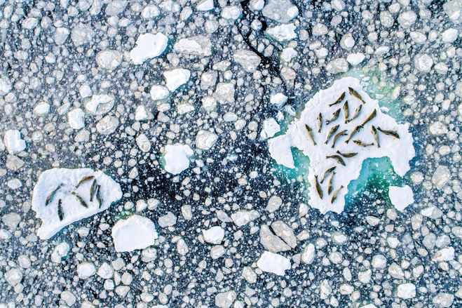 NATIONAL GEOGRAPHIC TRAVEL PHOTOGRAPHER