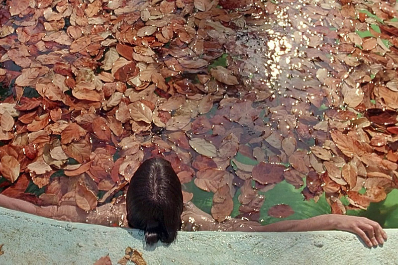 5 вдохновляющих фильмов для путешественников: И твою маму тоже