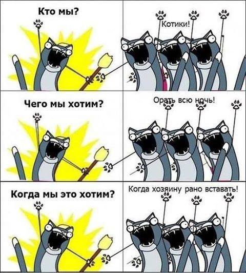 Комикс про котиков