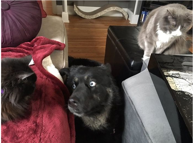 Когда завернул не в свой район