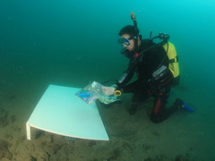 Спека змушує тікати... у воду!