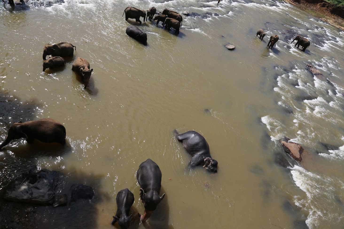 Дмитрий Каднай о Шри-Ланке: все, что вы не прочитаете в путеводителе об острове