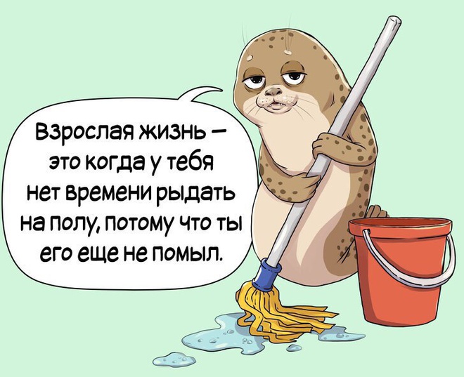 Взрослая жизнь как она есть