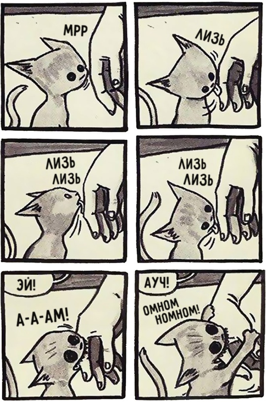 Комиксы про котов