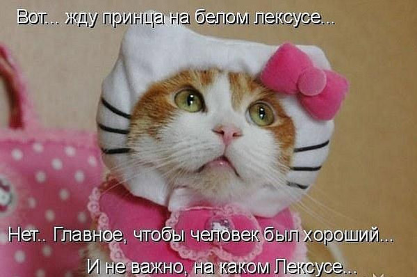 Няшки и суббота