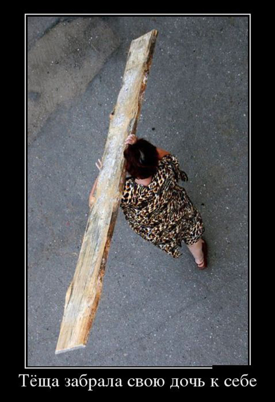 ТОП лучших демотиваторов