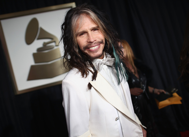 Стівен Тайлер (Cover)