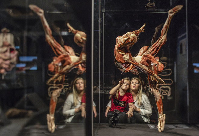 В Киев впервые везут всемирно известную выставку человеческих тел