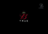 Advertising2006 - True
