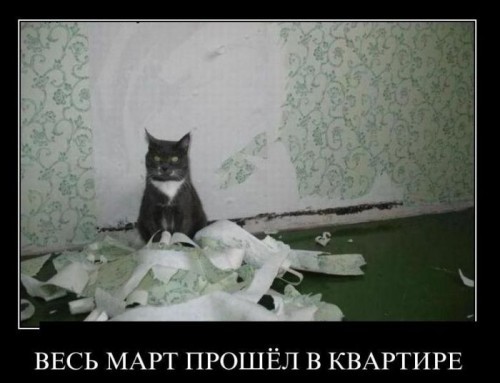 Прикольные демотиваторы