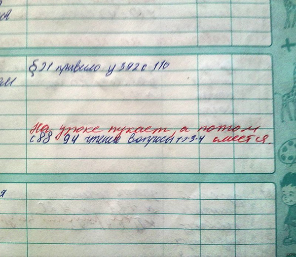 Записи в дневниках