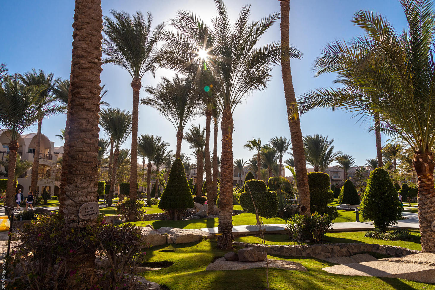 Египет, отель Jaz Makadina