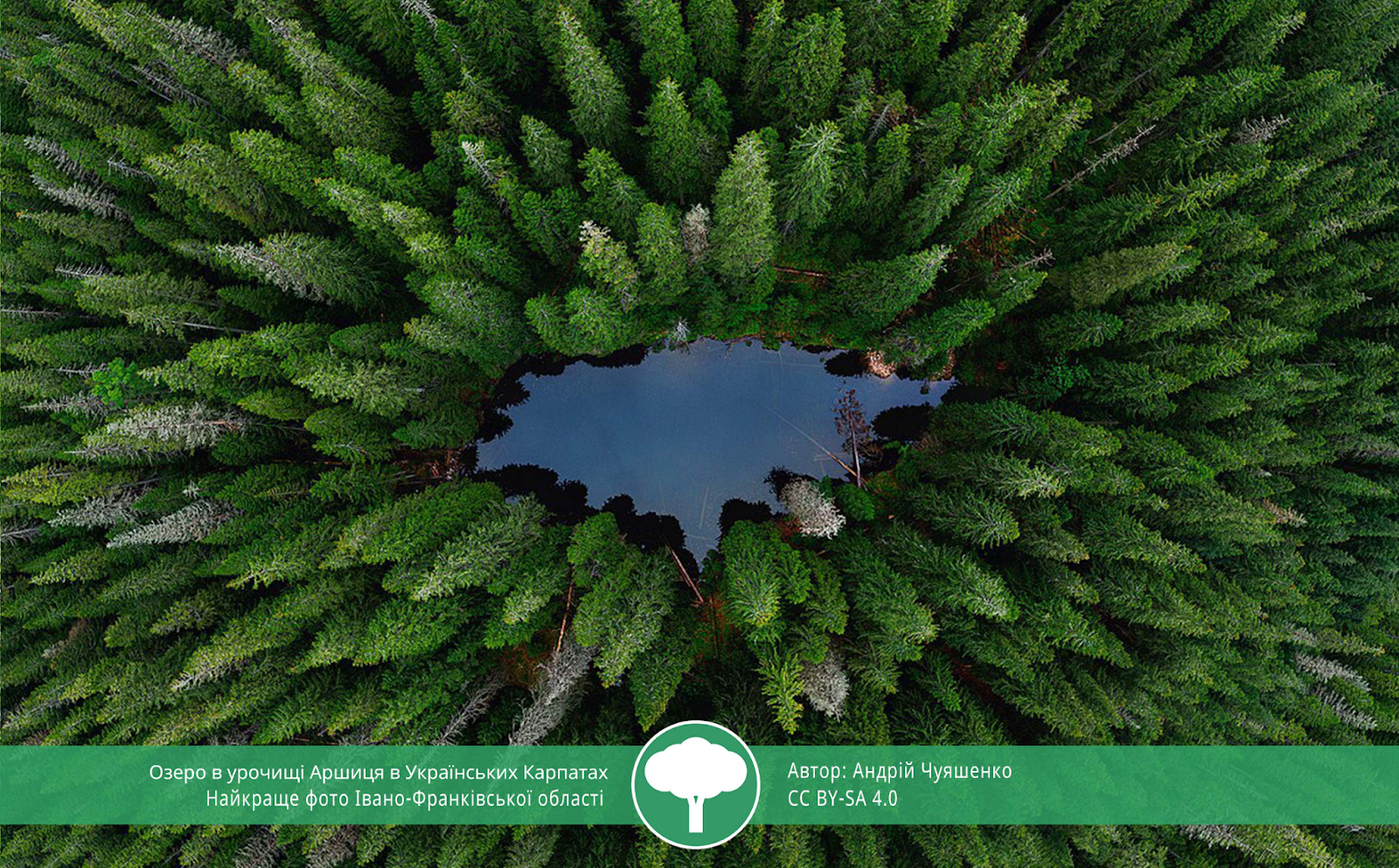 Вики любит Землю 2021