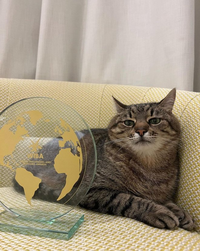 Новости шоу-биз