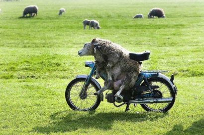 Приколы))