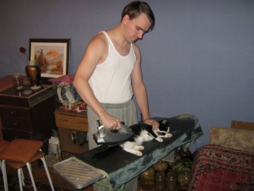 Погладь кота