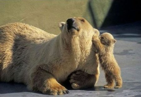 Я говорю:ПРИВЕЕЕТ!!!!!