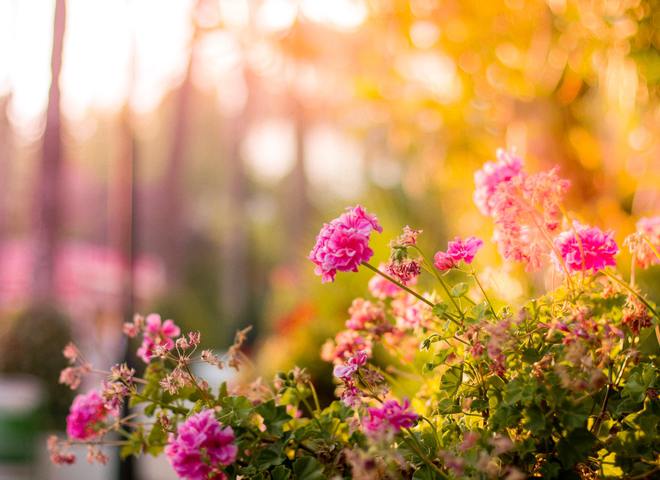 Что можно и нельзя делать в день Конона Огородника, кто отмечает День ангела 18 марта