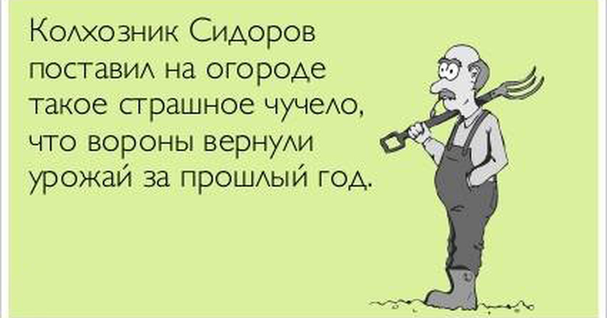 Живите спокойно вк. Смешные фразы про огородников. Цитаты про дачу смешные. Юмор для мужчин для поднятия настроения. Приколы про огородные работы.