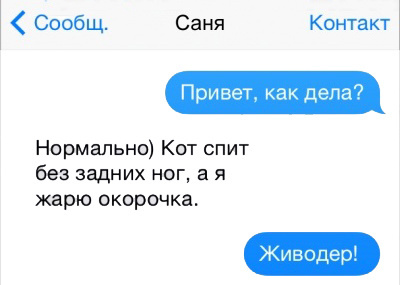 Смешные смс переписки