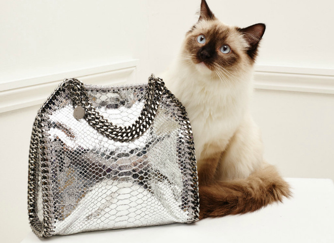 Stella McCartney Fall 2016 accessories