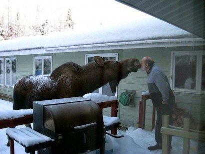 Приколы)) часть четыре))