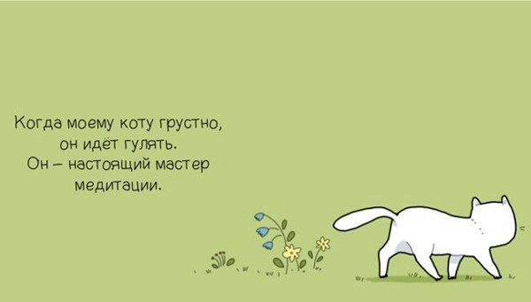 Когда моему коту грустно