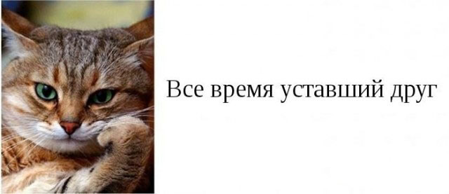 Категории друзей