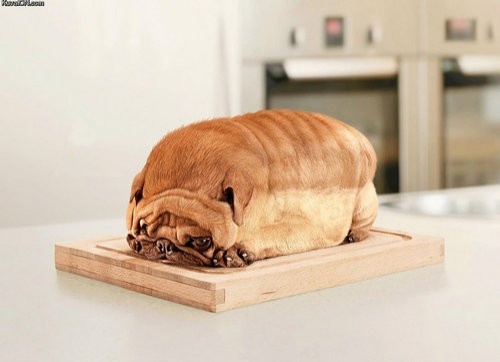 Няшки 