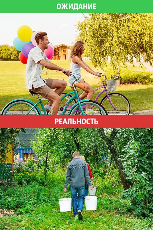 Жизнь после свадьбы