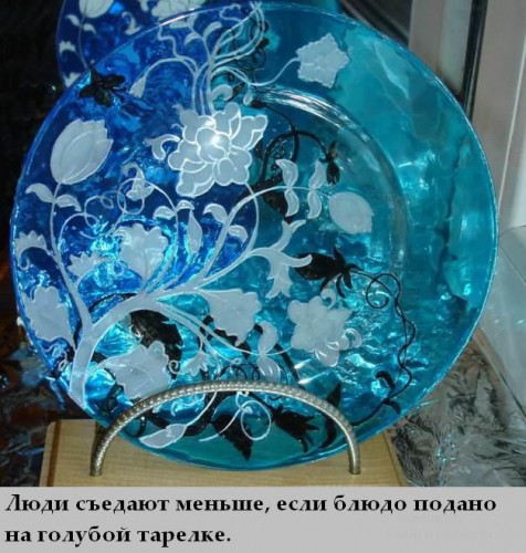 Топ интересных фактов
