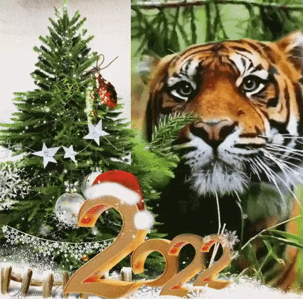 Листівки на Новий рік тигра 2022