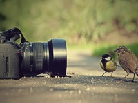 Сейчас нас будут фоткать