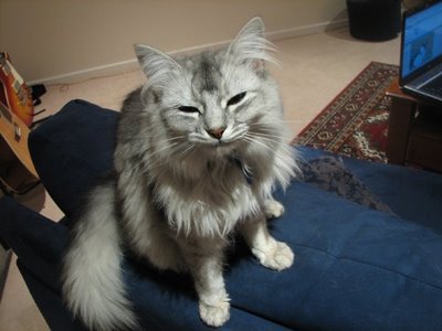 Работаю над стрессоустойчивостью