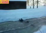 Перебежит? Делайте ставки!
