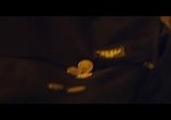 МакSим - Стала Свободней