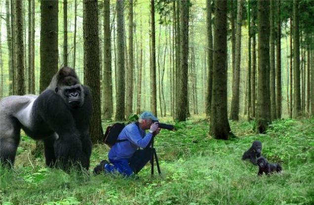 Фотоподборка "За секунду до"