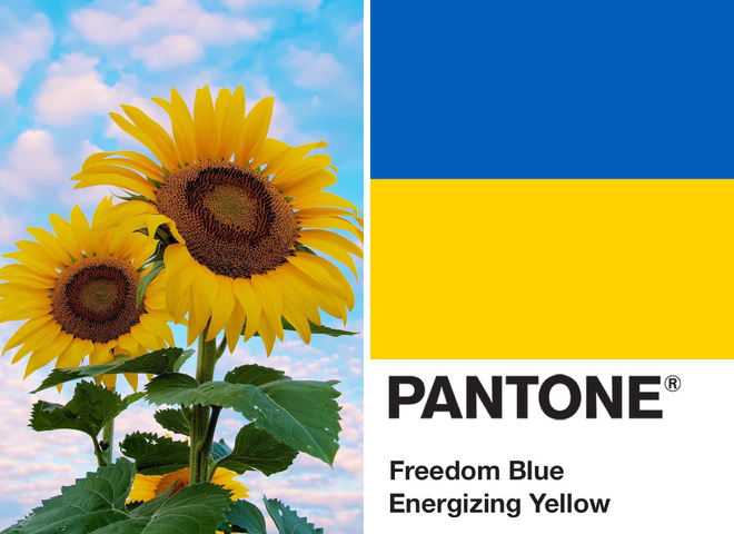 Pantone посвятил цвета украинскому флагу