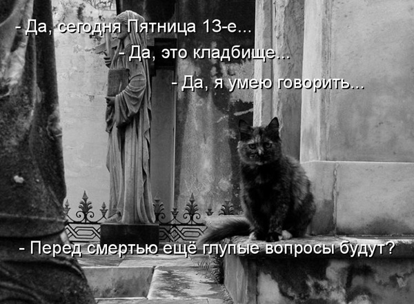 ТОП лучших котоматриц про пятницу 13-е