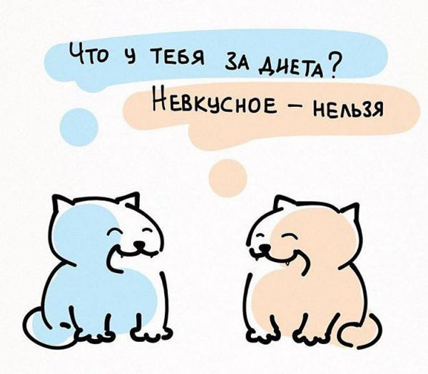 10 полезных советов от котика. Как надо относиться к жизни