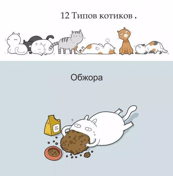 Котики бывают разные...