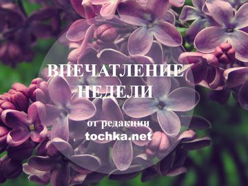 22-25 мая Впечатление недели