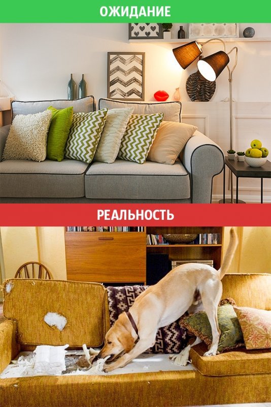 Жизнь после свадьбы